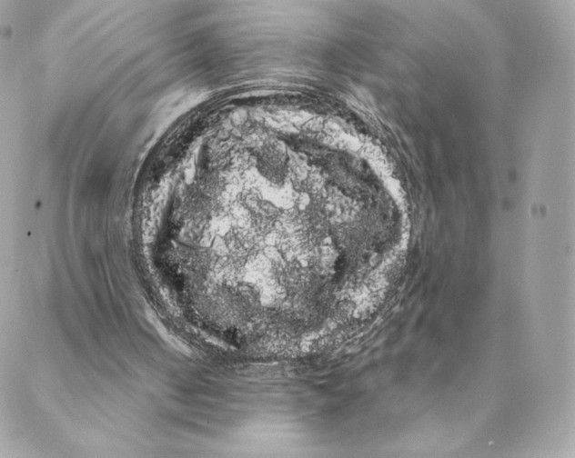 X0000088590050200706151746