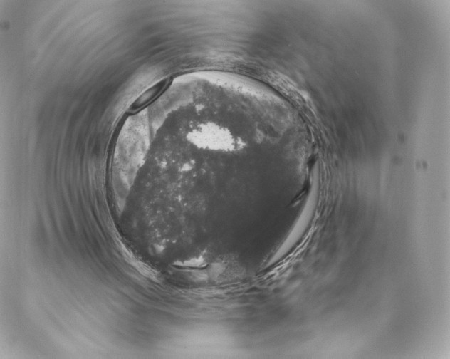 X0000088590051200706151746