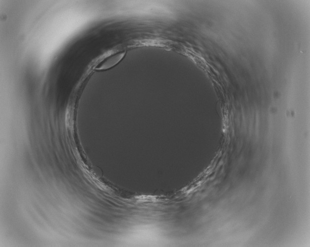 X0000088590052200706151746