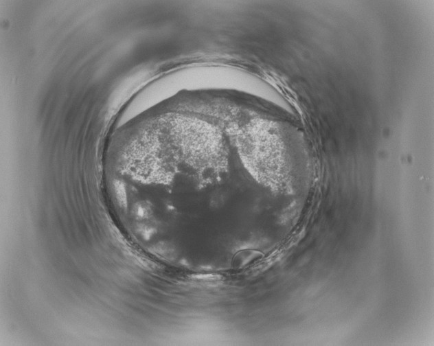 X0000088590053200706151746