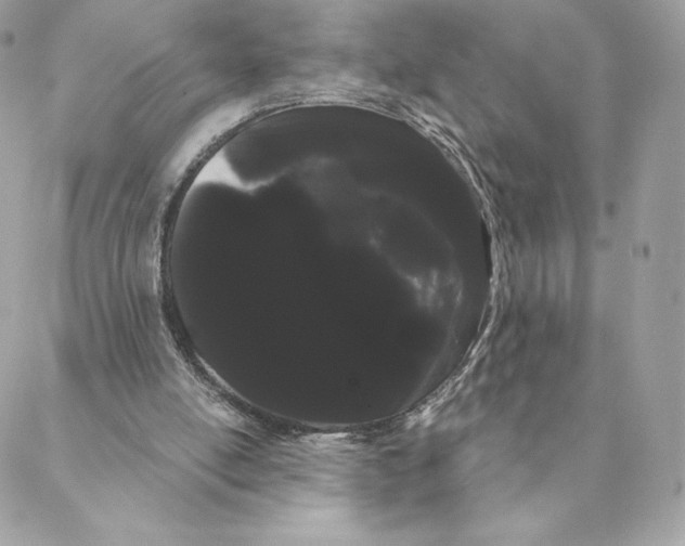 X0000088590054200706151746