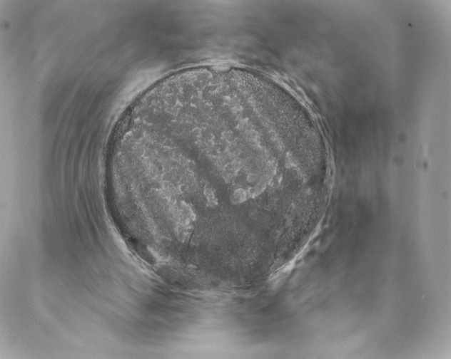 X0000088590055200706151746