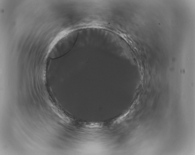 X0000088590056200706151746