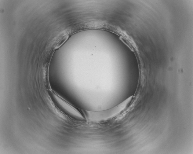 X0000088590057200706151746