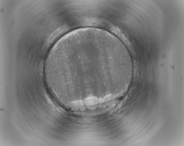 X0000088590058200706151746