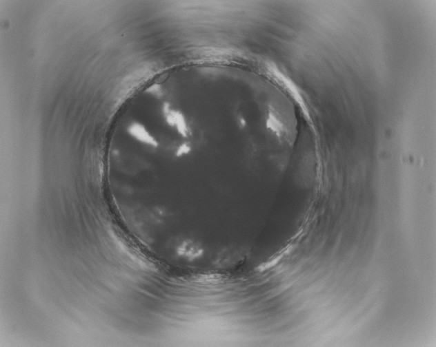 X0000088590059200706151746