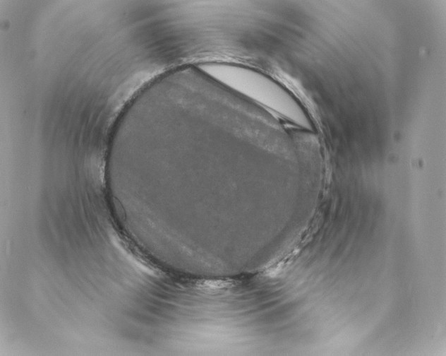 X0000088590060200706151746