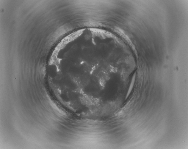 X0000088590063200706151747