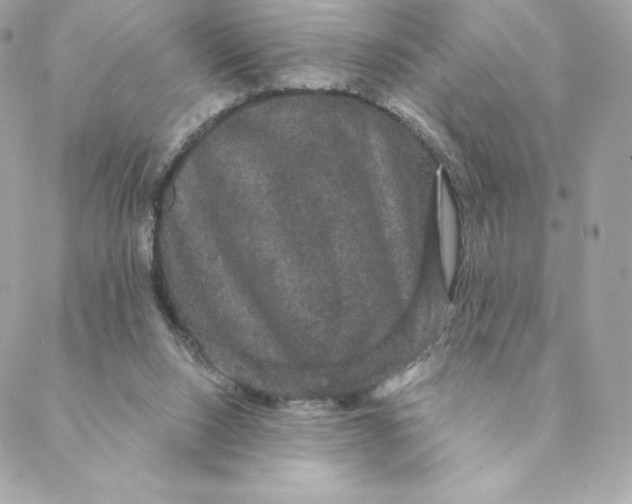 X0000088590064200706151747