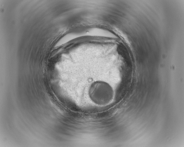 X0000088590065200706151747