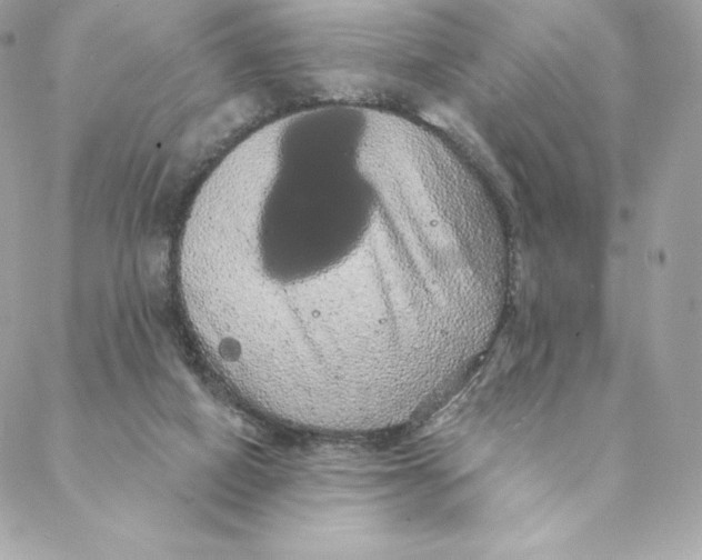 X0000088590066200706151747