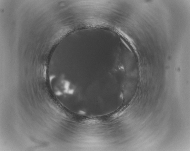 X0000088590067200706151747