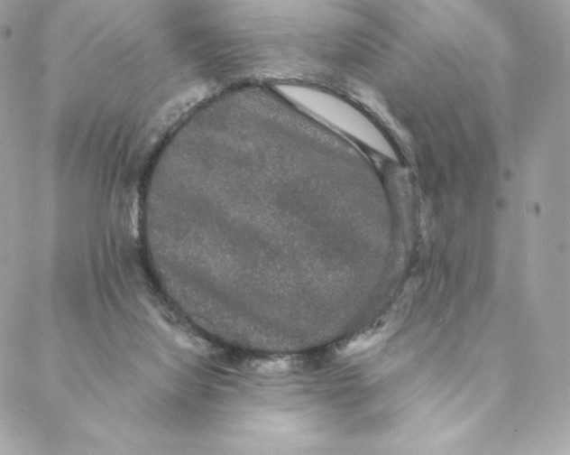 X0000088590068200706151747