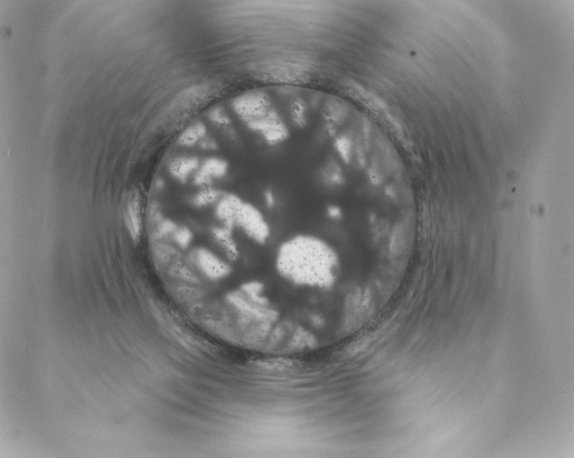 X0000088590069200706151747