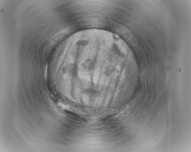 X0000088590070200706151747