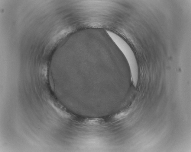 X0000088590072200706151747