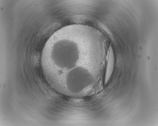 X0000088590073200706151747