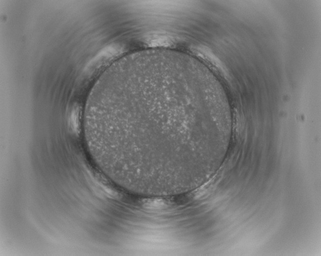 X0000088590074200706151747