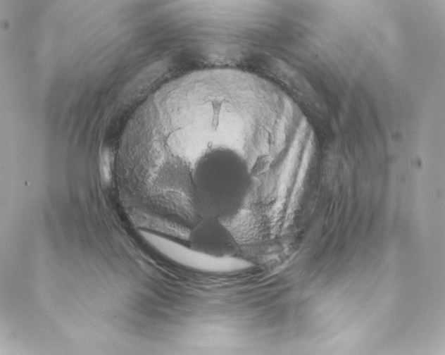 X0000088590075200706151747