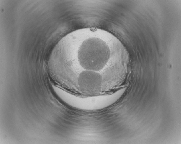 X0000088590077200706151747