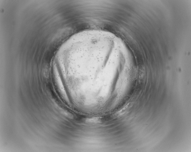 X0000088590078200706151747