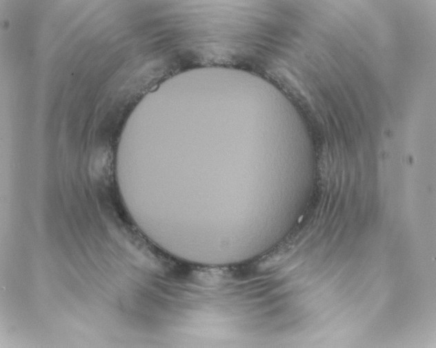 X0000088590079200706151747