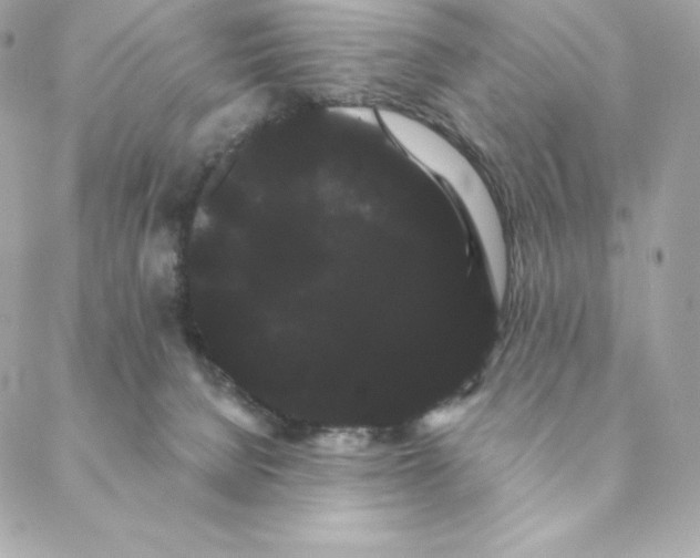 X0000088590080200706151747