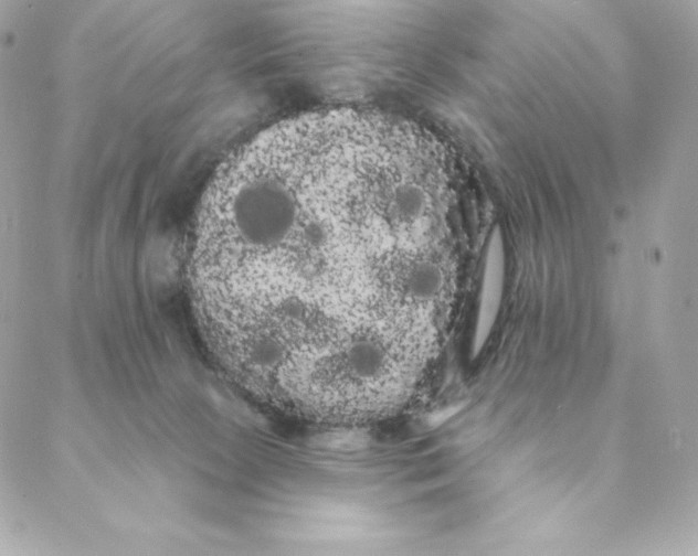 X0000088590081200706151747