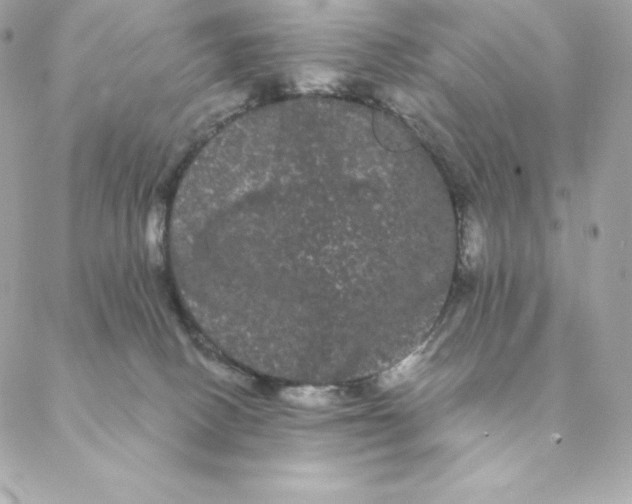 X0000088590082200706151747