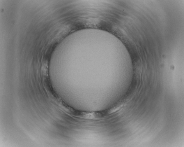 X0000088590083200706151747