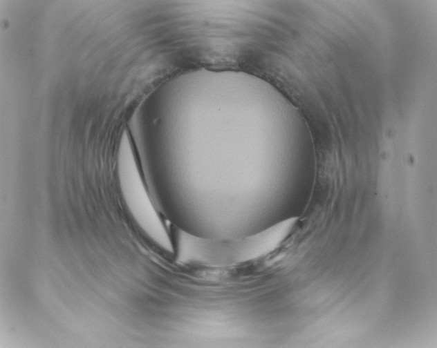 X0000088590084200706151747