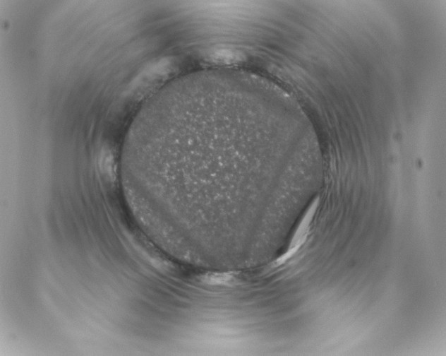 X0000088590086200706151747