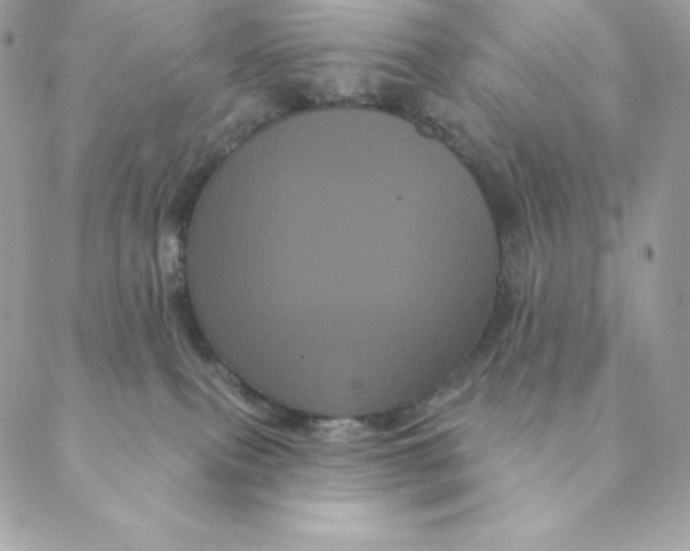 X0000088590087200706151747