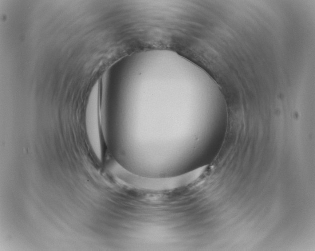 X0000088590088200706151747