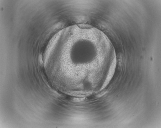 X0000088590089200706151747