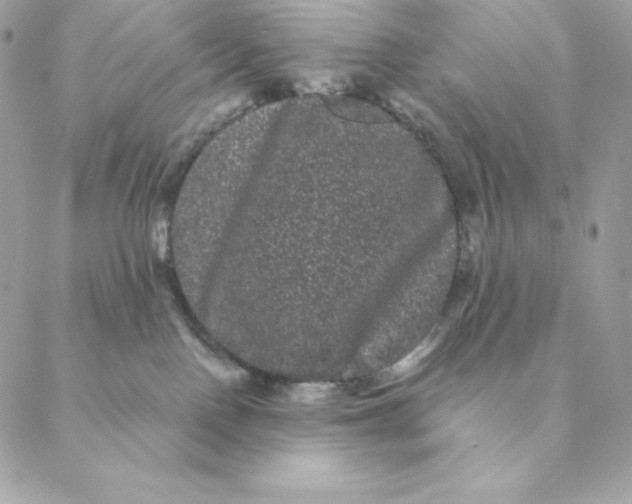 X0000088590090200706151747