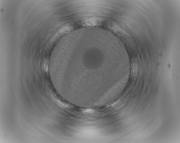 X0000088590091200706151747