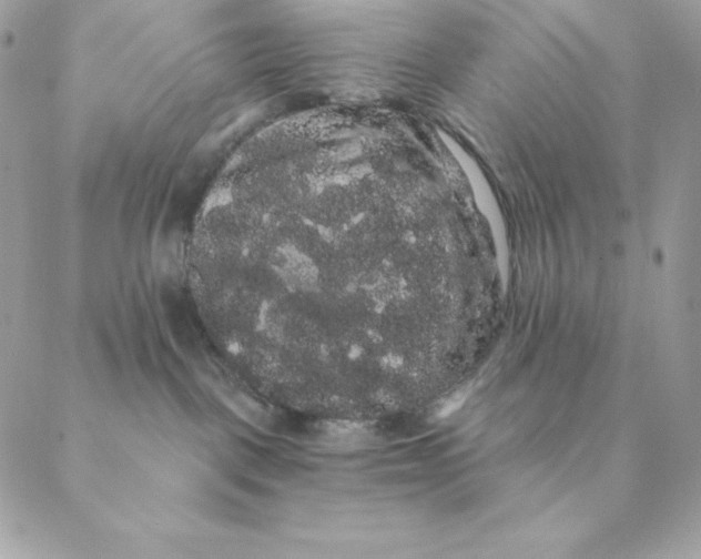 X0000088590093200706151747