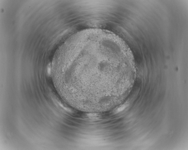 X0000088590095200706151747