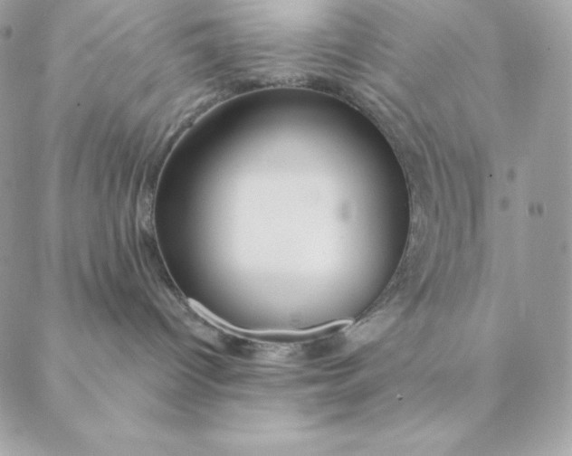 X0000088590096200706151747