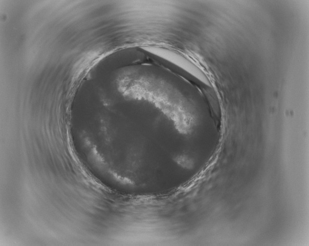 X0000088590097200706151746