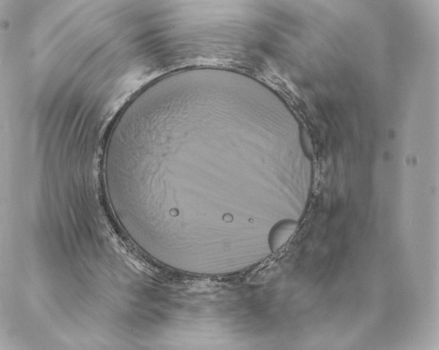 X0000088590098200706151746