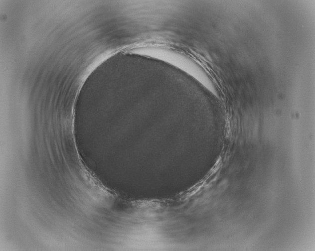 X0000088590100200706151746