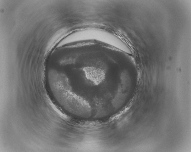 X0000088590101200706151746