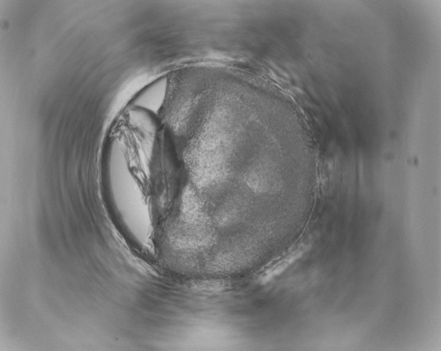 X0000088590102200706151746