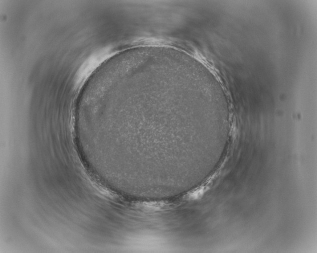 X0000088590103200706151746