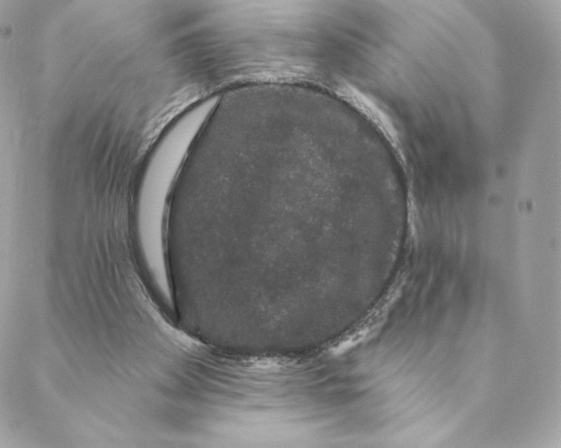 X0000088590105200706151746