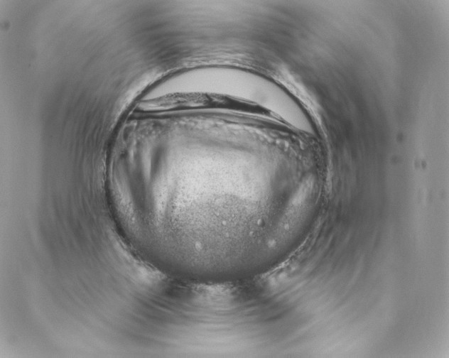 X0000088590107200706151746