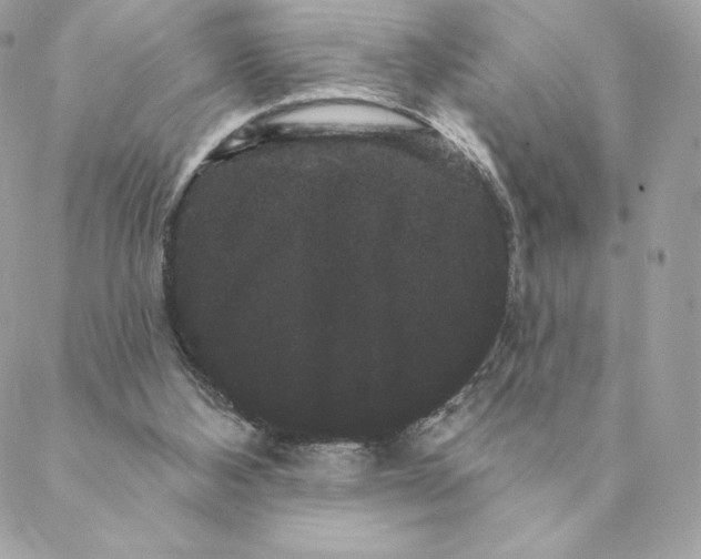 X0000088590108200706151746