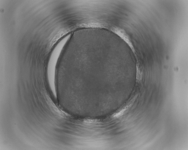 X0000088590109200706151746